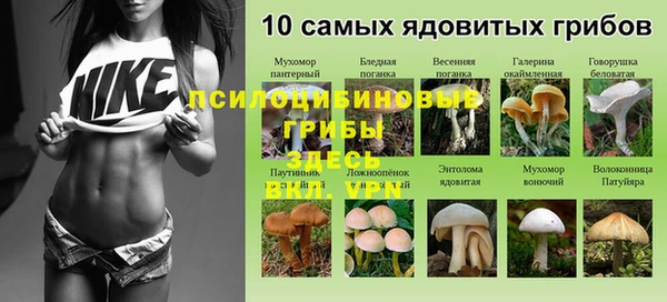 ГАЛЛЮЦИНОГЕННЫЕ ГРИБЫ Алексин