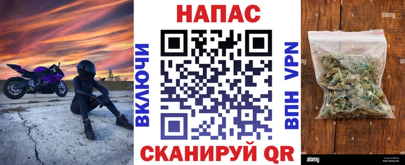 Купить где  Весьегонск  Канабис планчик 